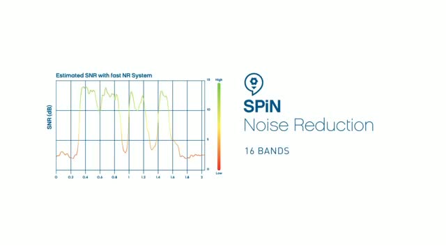 Screenshot of video of information about SPiN Management